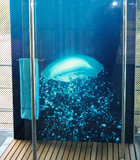 imagenglass-thumb-shower-door2